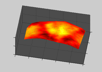 Reconstructed tissue-labeled point cloud